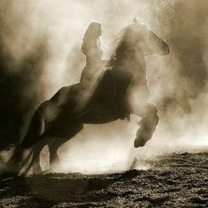 Meet your Posher, Celeste